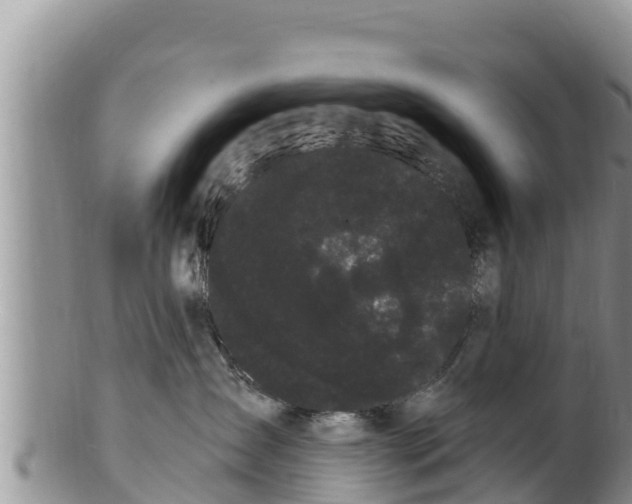 X0000100200431200806201425