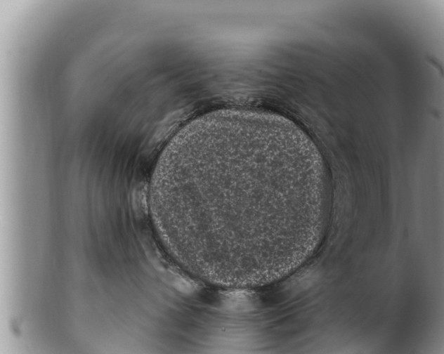 X0000100200432200806201425