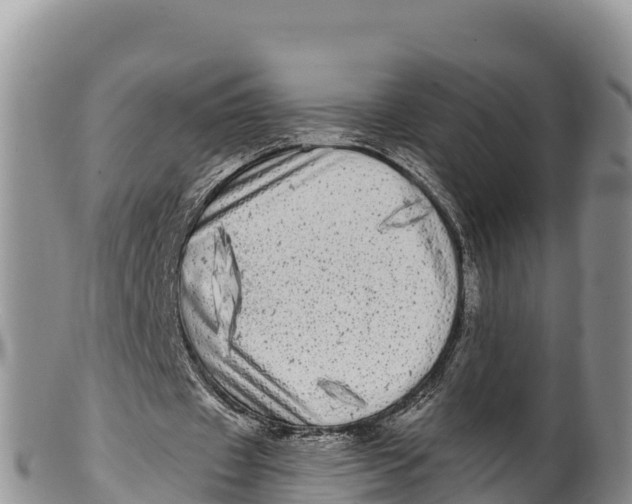 X0000100200433200806201425