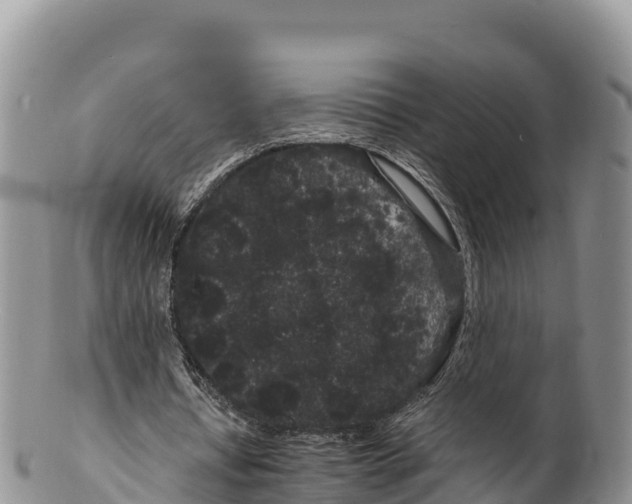 X0000100200434200806201425