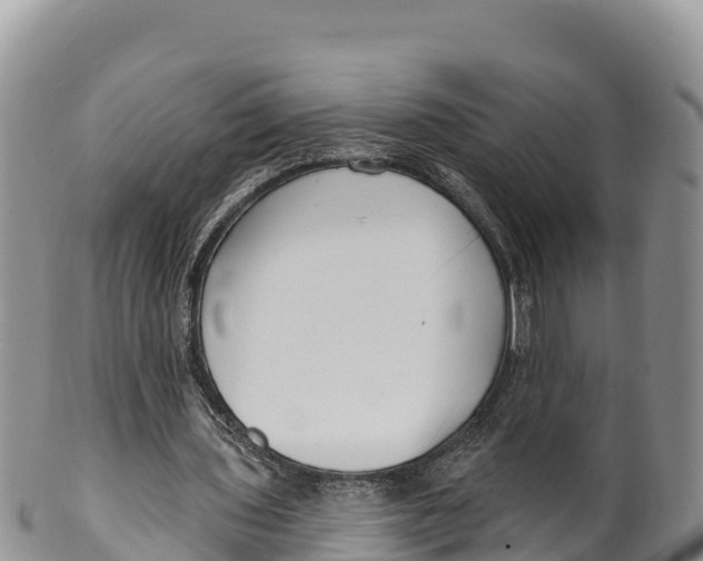 X0000100200435200806201425