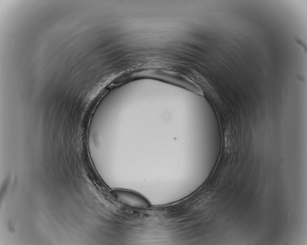 X0000100200436200806201425