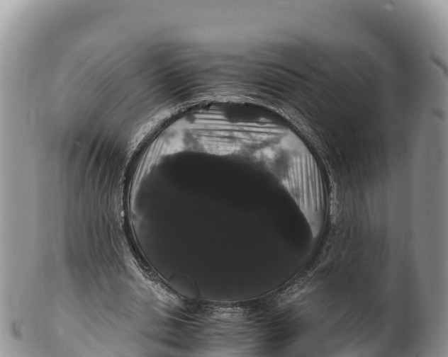 X0000100200438200806201425