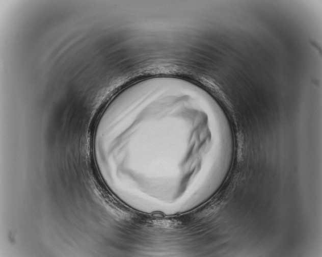 X0000100200439200806201425