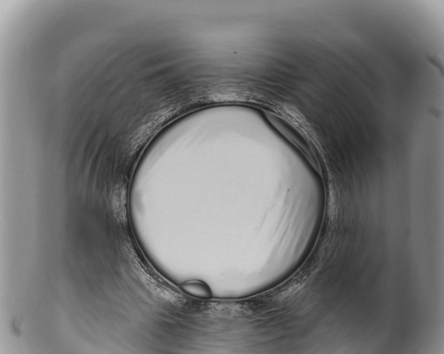 X0000100200441200806201425