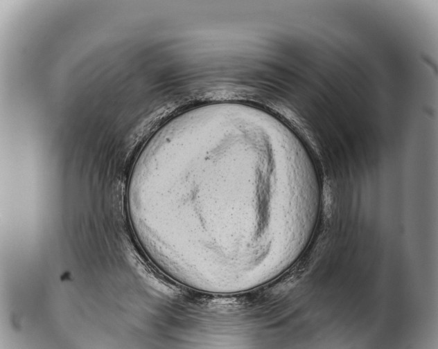 X0000100200445200806201425