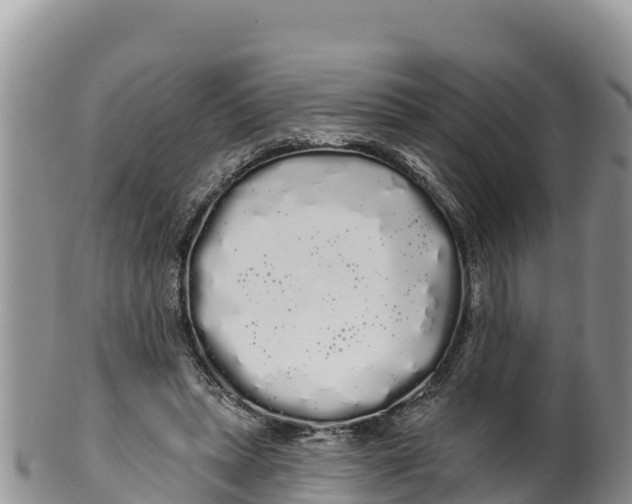 X0000100200447200806201425