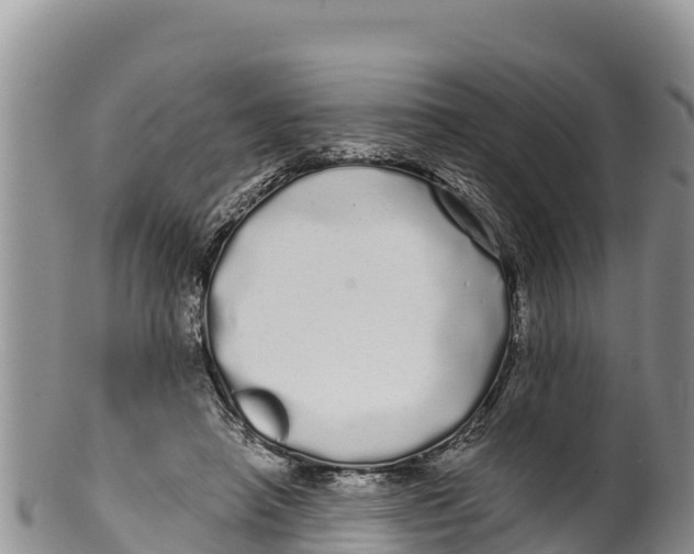 X0000100200450200806201425