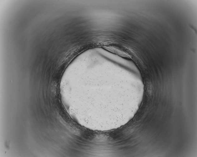 X0000100200451200806201425