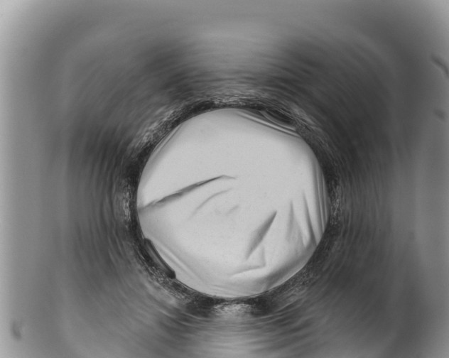 X0000100200452200806201425