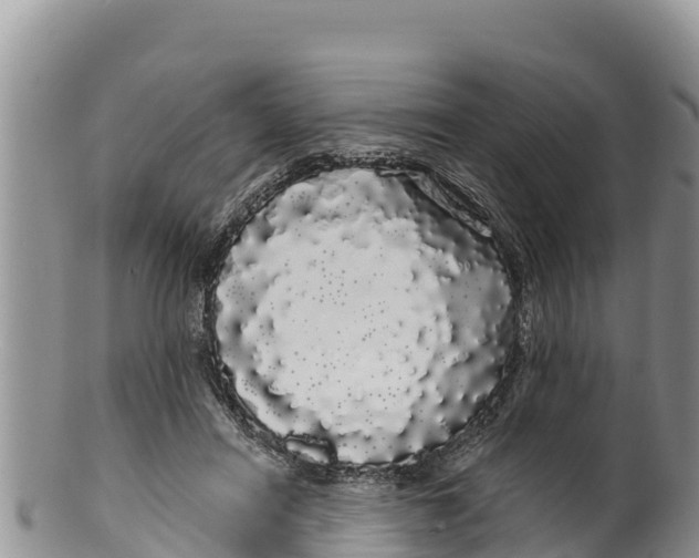 X0000100200454200806201425