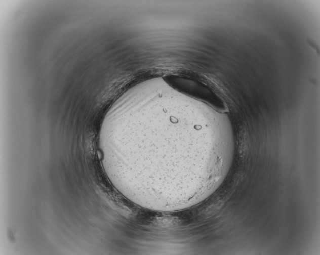 X0000100200455200806201425