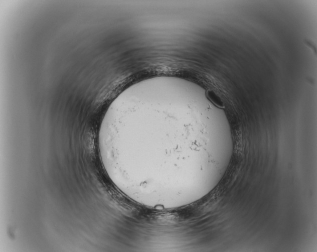 X0000100200456200806201425