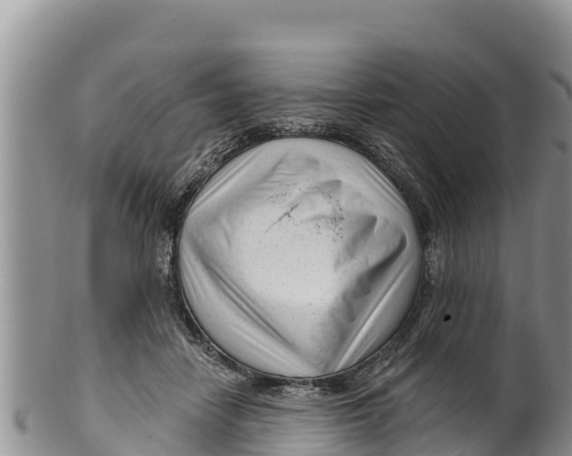 X0000100200458200806201425