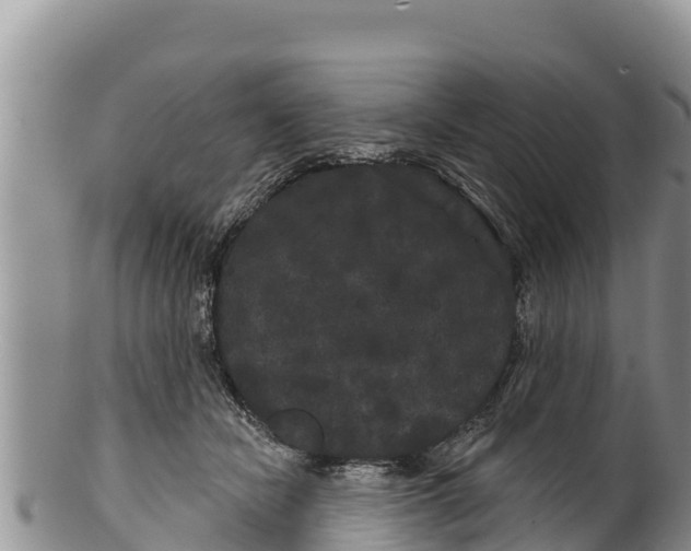 X0000100200462200806201425