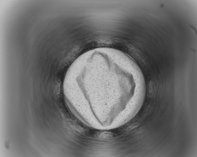 X0000100200463200806201425