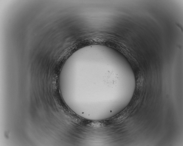 X0000100200464200806201425