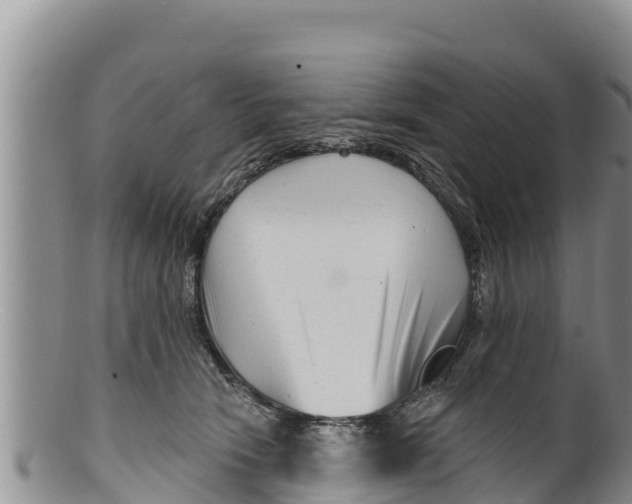 X0000100200466200806201425