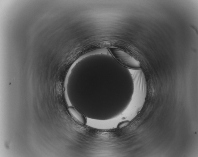 X0000100200467200806201425