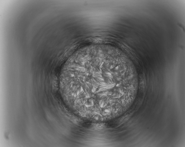 X0000100200469200806201425