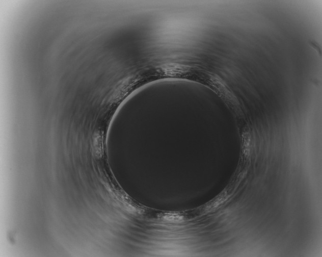 X0000100200471200806201425