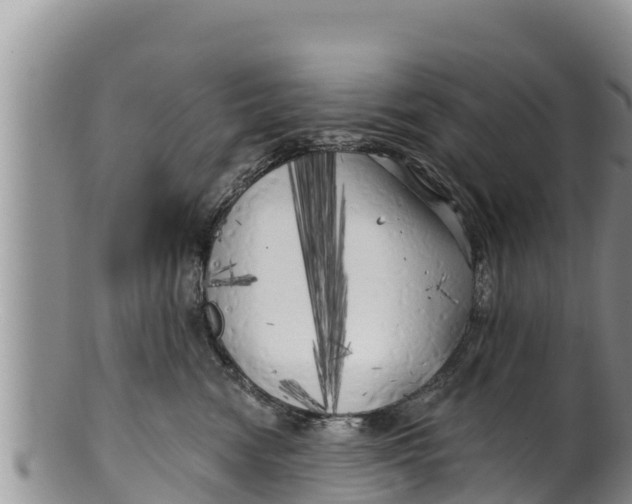 X0000100200474200806201425