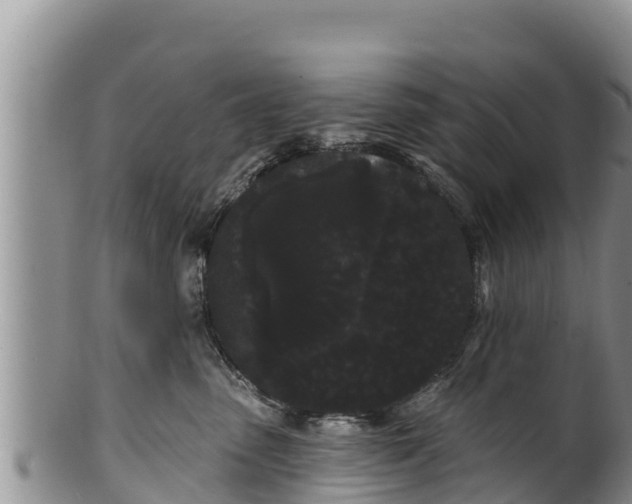 X0000100200475200806201425