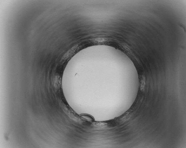 X0000100200476200806201425