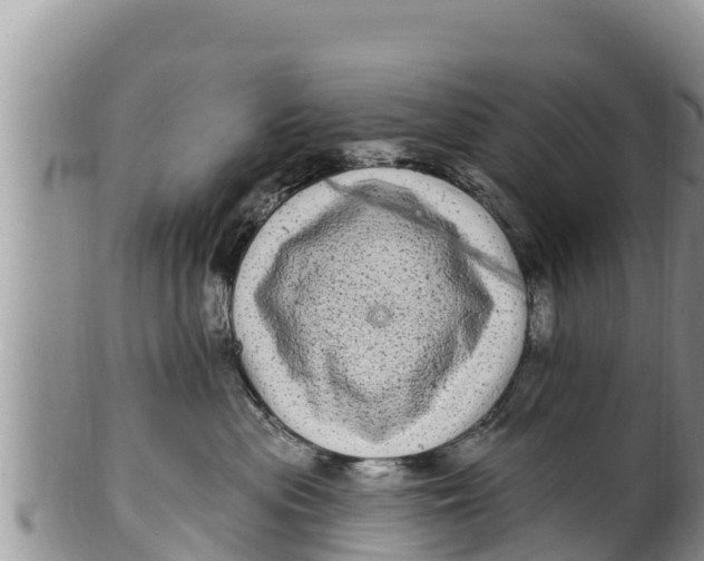 X0000100200477200806201425