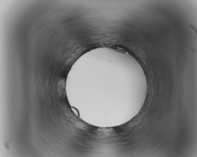 X0000100200480200806201425