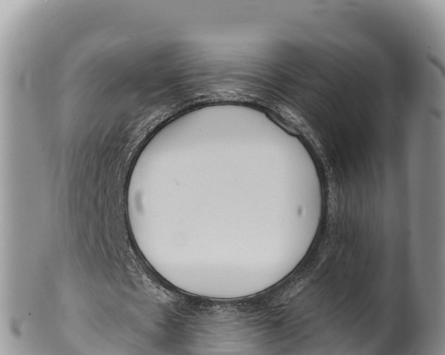 X0000100200481200806201425