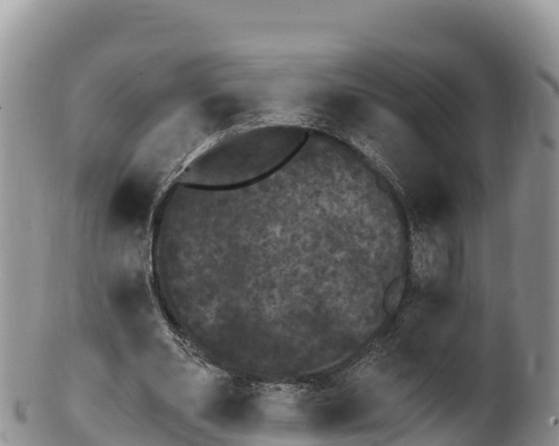 X0000100200486200806201425