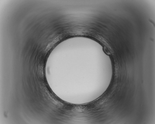 X0000100200489200806201424