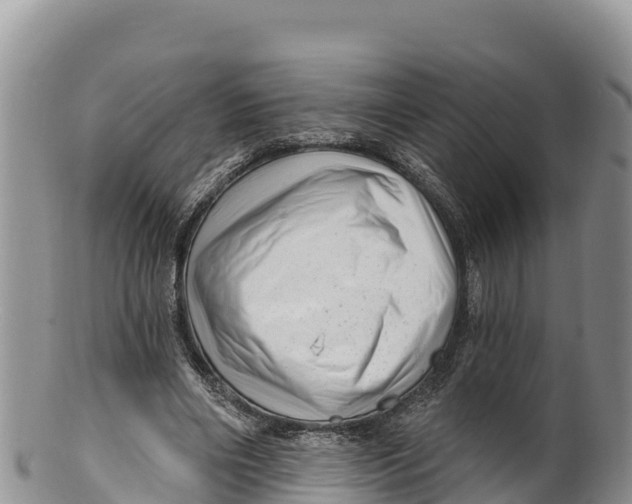 X0000100200490200806201424