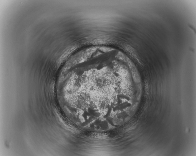 X0000100200491200806201424