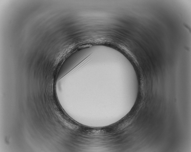 X0000100200493200806201424