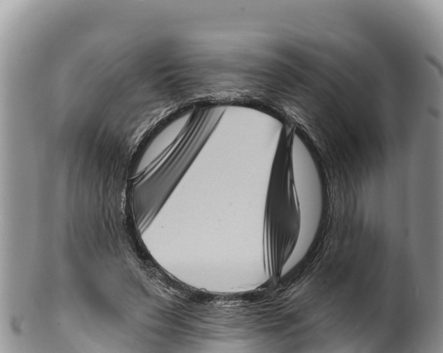 X0000100200495200806201424