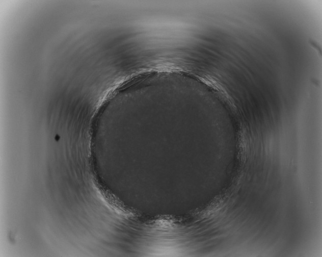 X0000100200496200806201424