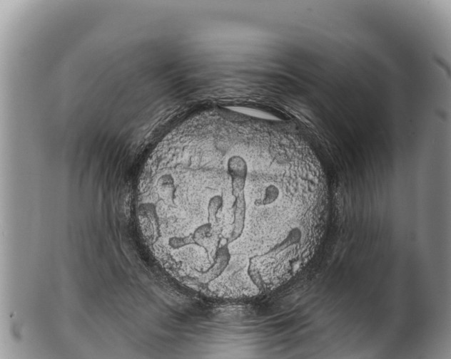 X0000100200499200806201424