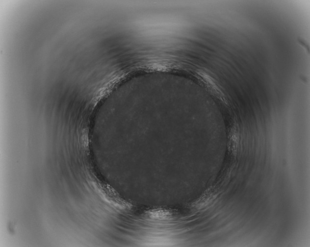 X0000100200500200806201424