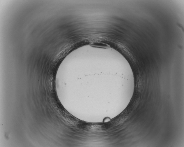 X0000100200501200806201424