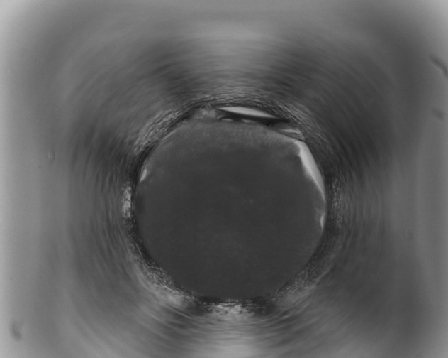 X0000100200502200806201424