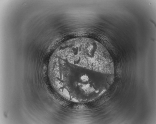 X0000100200503200806201424