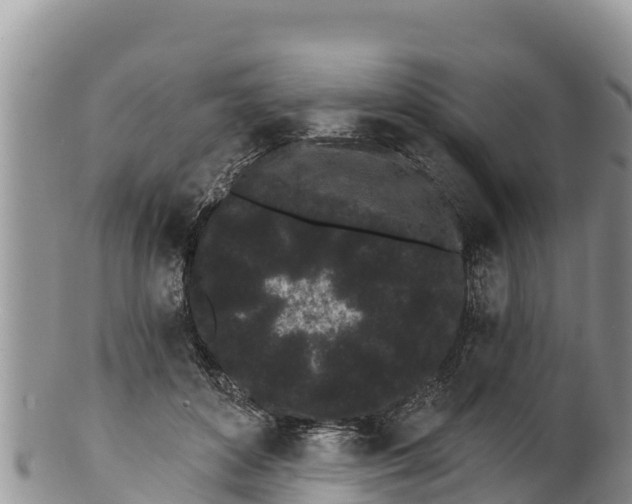 X0000100200504200806201424