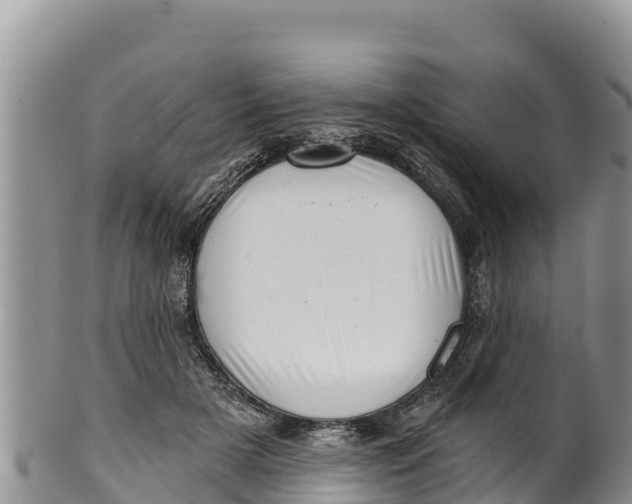 X0000100200505200806201424