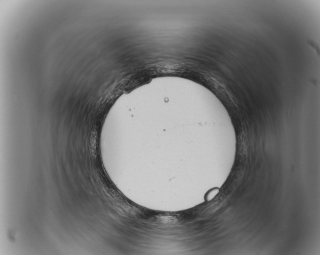 X0000100200509200806201424