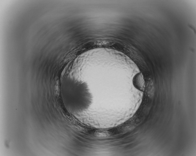 X0000100200510200806201424