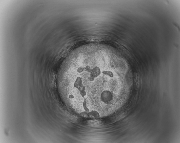 X0000100200511200806201424