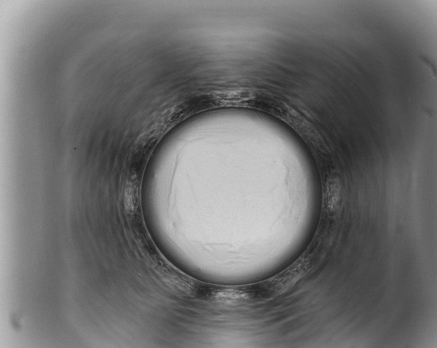 X0000100200515200806201424