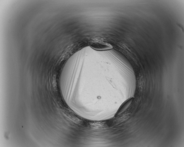 X0000100200516200806201424